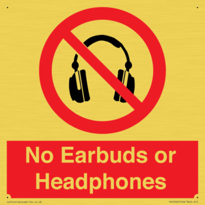 No Earbuds or Headphones